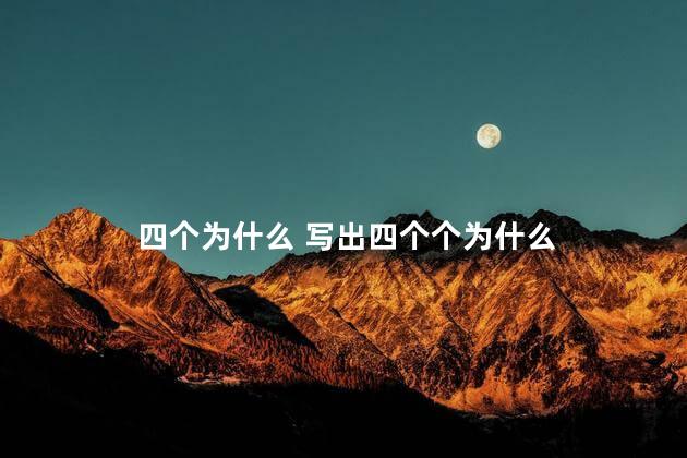 四个为什么 写出四个个为什么